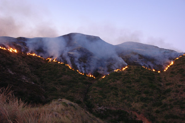 النيران تلتهم أزيد من 200 هكتار من القطاع الغابوي لجبال كبدانة النيران تلتهم أزيد من 200 هكتار من القطاع الغابوي لجبال كبدانة