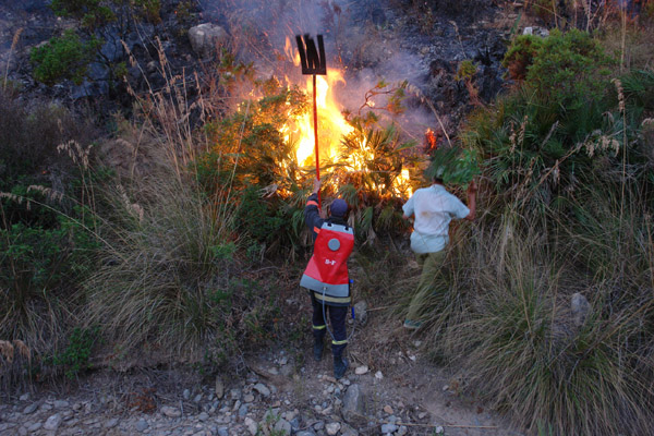 النيران تلتهم أزيد من 200 هكتار من القطاع الغابوي لجبال كبدانة النيران تلتهم أزيد من 200 هكتار من القطاع الغابوي لجبال كبدانة