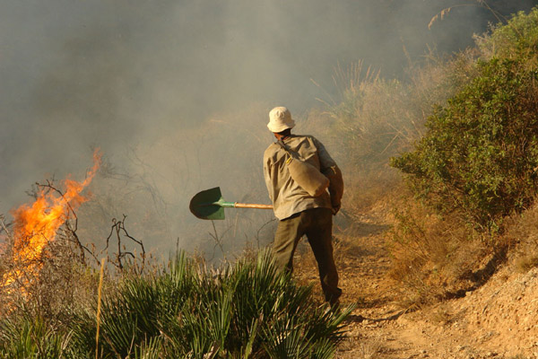 النيران تلتهم أزيد من 200 هكتار من القطاع الغابوي لجبال كبدانة النيران تلتهم أزيد من 200 هكتار من القطاع الغابوي لجبال كبدانة