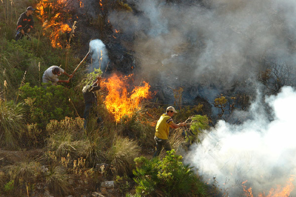 النيران تلتهم أزيد من 200 هكتار من القطاع الغابوي لجبال كبدانة النيران تلتهم أزيد من 200 هكتار من القطاع الغابوي لجبال كبدانة