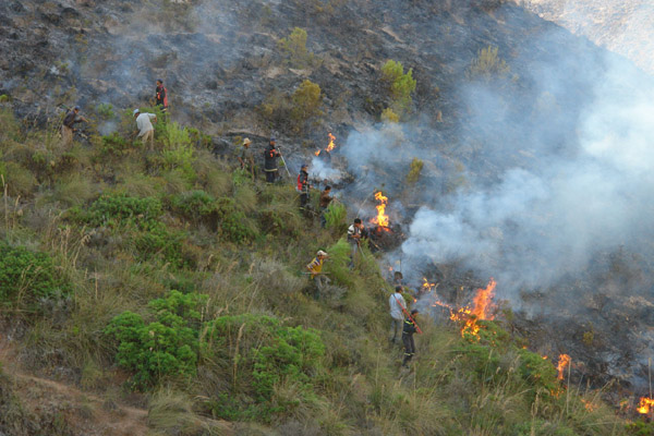 النيران تلتهم أزيد من 200 هكتار من القطاع الغابوي لجبال كبدانة النيران تلتهم أزيد من 200 هكتار من القطاع الغابوي لجبال كبدانة