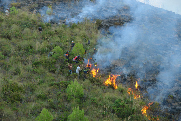 النيران تلتهم أزيد من 200 هكتار من القطاع الغابوي لجبال كبدانة النيران تلتهم أزيد من 200 هكتار من القطاع الغابوي لجبال كبدانة