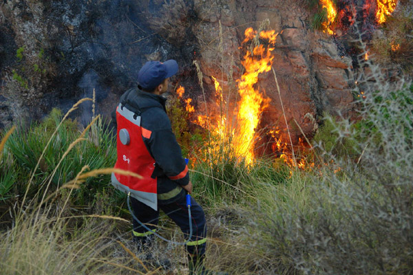 النيران تلتهم أزيد من 200 هكتار من القطاع الغابوي لجبال كبدانة النيران تلتهم أزيد من 200 هكتار من القطاع الغابوي لجبال كبدانة