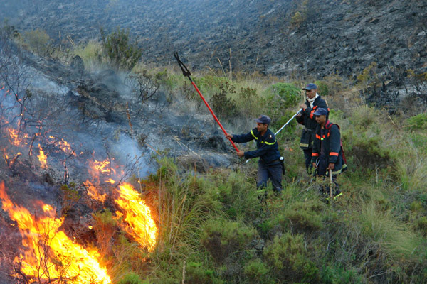 النيران تلتهم أزيد من 200 هكتار من القطاع الغابوي لجبال كبدانة النيران تلتهم أزيد من 200 هكتار من القطاع الغابوي لجبال كبدانة