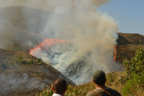 النيران تلتهم أزيد من 200 هكتار من القطاع الغابوي لجبال كبدانة