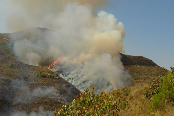 النيران تلتهم أزيد من 200 هكتار من القطاع الغابوي لجبال كبدانة النيران تلتهم أزيد من 200 هكتار من القطاع الغابوي لجبال كبدانة