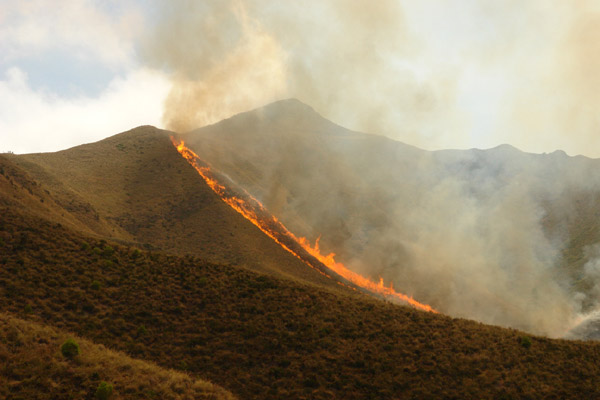 النيران تلتهم أزيد من 200 هكتار من القطاع الغابوي لجبال كبدانة النيران تلتهم أزيد من 200 هكتار من القطاع الغابوي لجبال كبدانة