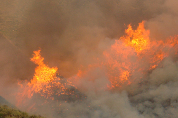 النيران تلتهم أزيد من 200 هكتار من القطاع الغابوي لجبال كبدانة النيران تلتهم أزيد من 200 هكتار من القطاع الغابوي لجبال كبدانة