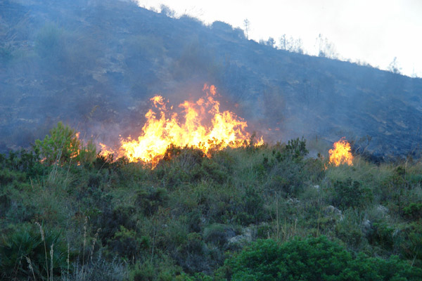 النيران تلتهم أزيد من 200 هكتار من القطاع الغابوي لجبال كبدانة النيران تلتهم أزيد من 200 هكتار من القطاع الغابوي لجبال كبدانة