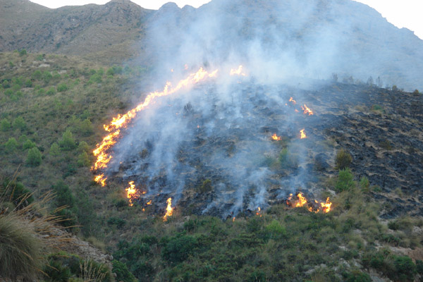 النيران تلتهم أزيد من 200 هكتار من القطاع الغابوي لجبال كبدانة النيران تلتهم أزيد من 200 هكتار من القطاع الغابوي لجبال كبدانة