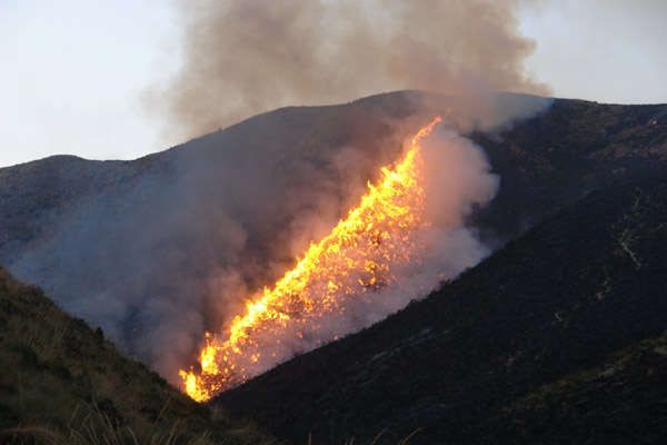 النيران تلتهم أزيد من 200 هكتار من القطاع الغابوي لجبال كبدانة النيران تلتهم أزيد من 200 هكتار من القطاع الغابوي لجبال كبدانة