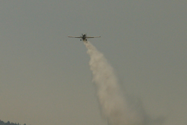 النيران تلتهم أزيد من 200 هكتار من القطاع الغابوي لجبال كبدانة النيران تلتهم أزيد من 200 هكتار من القطاع الغابوي لجبال كبدانة