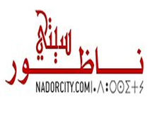 نداء إلى زوار موقعنا ناظورسيتي الأوفياء نداء إلى زوار موقعنا ناظورسيتي الأوفياء