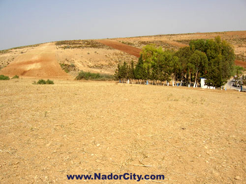 لقاء بتاليلت (الناظور) تخليدا للذكرى 88 لمعركة أنوال لقاء بتاليلت (الناظور) تخليدا للذكرى 88 لمعركة أنوال