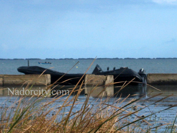 انطلاق مُحاكمة شبكة النّاظور لتهريب المُخدّرات بعد أُسبوعين انطلاق مُحاكمة شبكة النّاظور لتهريب المُخدّرات بعد أُسبوعين