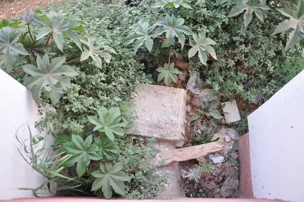 سكّان إقامات حيّ المطار القديم ينتفضون ضدّ الصمت سكّان إقامات حيّ المطار القديم ينتفضون ضدّ الصمت