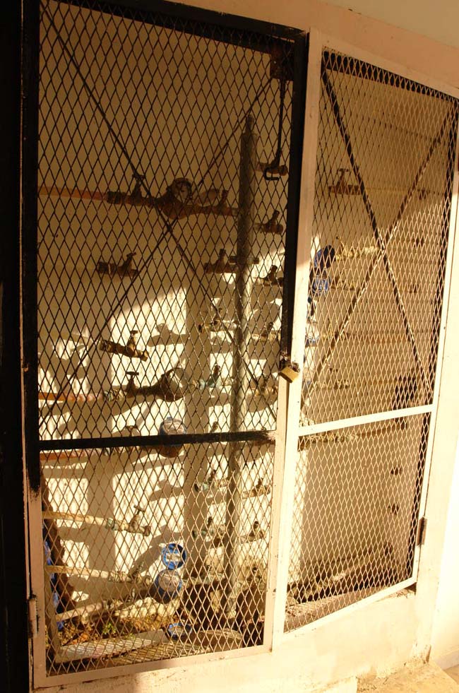 سكّان إقامات حيّ المطار القديم ينتفضون ضدّ الصمت سكّان إقامات حيّ المطار القديم ينتفضون ضدّ الصمت