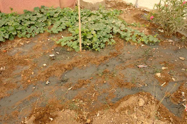 سكّان إقامات حيّ المطار القديم ينتفضون ضدّ الصمت سكّان إقامات حيّ المطار القديم ينتفضون ضدّ الصمت