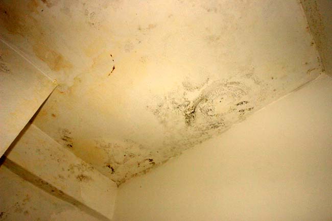 سكّان إقامات حيّ المطار القديم ينتفضون ضدّ الصمت سكّان إقامات حيّ المطار القديم ينتفضون ضدّ الصمت