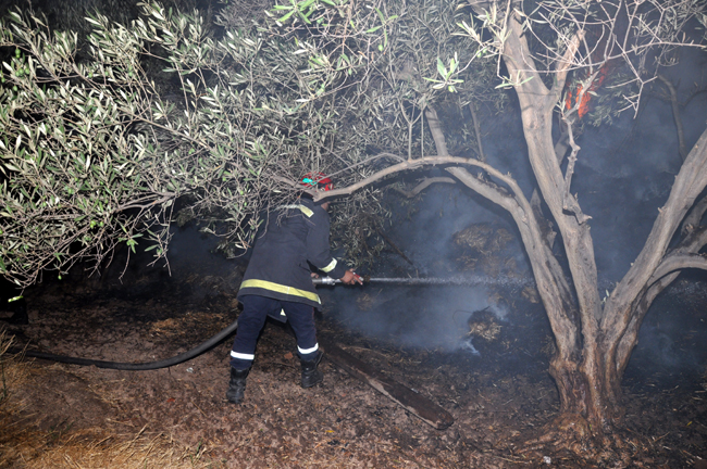 حريق يثير الفزع وسط ساكنة حي عاريض بالناظور حريق يثير الفزع وسط ساكنة حي عاريض بالناظور