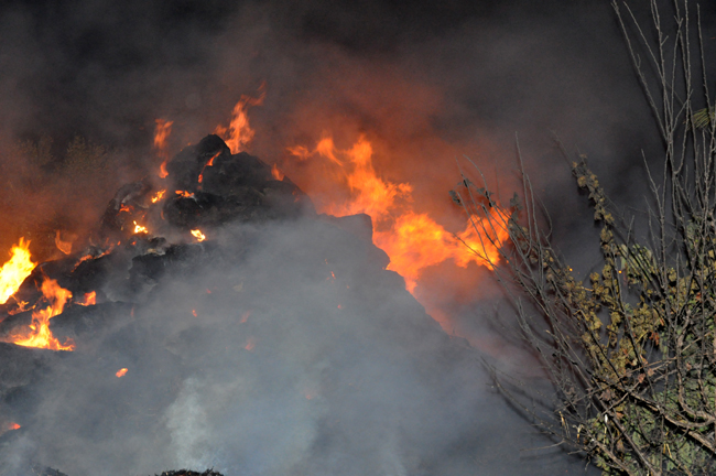 حريق يثير الفزع وسط ساكنة حي عاريض بالناظور حريق يثير الفزع وسط ساكنة حي عاريض بالناظور