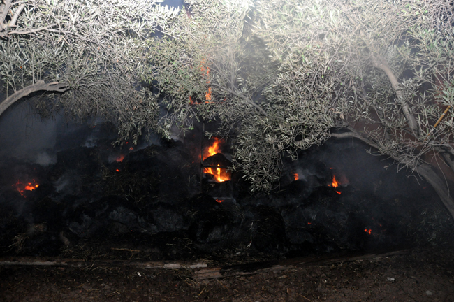 حريق يثير الفزع وسط ساكنة حي عاريض بالناظور حريق يثير الفزع وسط ساكنة حي عاريض بالناظور