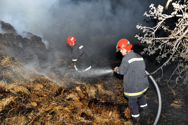 حريق يثير الفزع وسط ساكنة حي عاريض بالناظور حريق يثير الفزع وسط ساكنة حي عاريض بالناظور