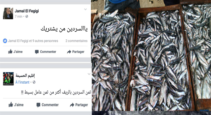 سعر السردين يصل الى 50 درهما بالحسيمة واستنكار عام من طرف الساكنة سعر السردين يصل الى 50 درهما بالحسيمة واستنكار عام من طرف الساكنة