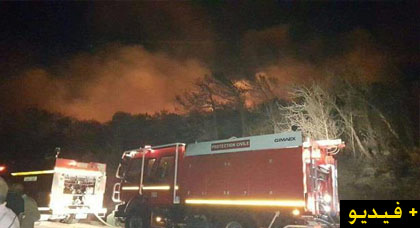 بالفيديو.. حريق غابة طنجة يستعر ونشطاء يوثقون لحظات خطيرة من جهود إخمادها بالفيديو.. حريق غابة طنجة يستعر ونشطاء يوثقون لحظات خطيرة من جهود إخمادها