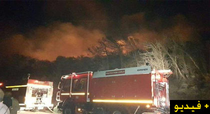 بالفيديو.. حريق غابة طنجة يستعر ونشطاء يوثقون لحظات خطيرة من جهود إخمادها