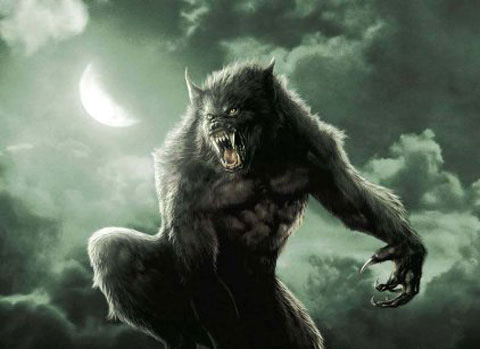 سكان بني سيدال يتخوفون من هجمات دامية يشنّها وحش مجهول سكان بني سيدال يتخوفون من هجمات دامية يشنّها وحش مجهول