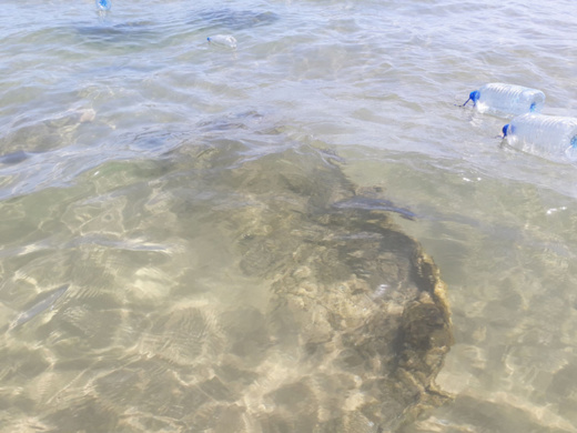 قطع حديدية في المياه الشاطئية لـ "قابوياوا" تهدد سلامة المصطافين قطع حديدية في المياه الشاطئية لـ "قابوياوا" تهدد سلامة المصطافين