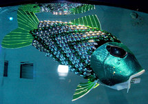 فئة جديد من الاسماك الالكترونية قادرة على الغوص في المحيطات فئة جديد من الاسماك الالكترونية قادرة على الغوص في المحيطات