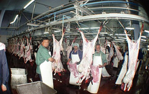 ساكنة جماعة تمسمان تستنكر خروقات طبيب بيطري ساكنة جماعة تمسمان تستنكر خروقات طبيب بيطري