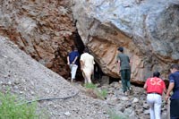 المحكمة تمنح السراح المؤقت للقدوري المحكمة تمنح السراح المؤقت للقدوري