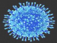 مريض انفلونزا الخنازير ينقل العدوى حتى بعد الشفاء
