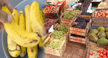 سوق الدريوش.. ندرة في الأسماك واستقرار في أثمنة اللحوم وأسعار "خيالية" في الخضر والفواكه سوق الدريوش.. ندرة في الأسماك واستقرار في أثمنة اللحوم وأسعار "خيالية" في الخضر والفواكه
