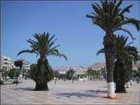 ندوة دولية بالحسيمة حول الانتقال الديمقراطي ندوة دولية بالحسيمة حول الانتقال الديمقراطي