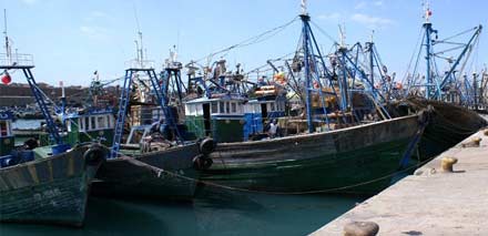 من ميناء بني انصار: إنطلاق رحلة علمية استكشافية تهم الثروات السمكية المتوسطية من ميناء بني انصار: إنطلاق رحلة علمية استكشافية تهم الثروات السمكية المتوسطية