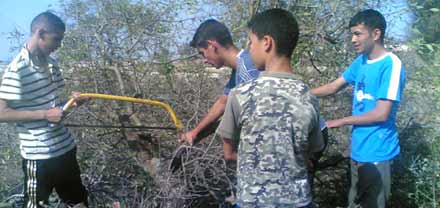 آباء وأولياء تلاميذ إعدادية بني سيدال الجبل يستنكرون إستغلال أبنائهم لأعمال شاقة آباء وأولياء تلاميذ إعدادية بني سيدال الجبل يستنكرون إستغلال أبنائهم لأعمال شاقة