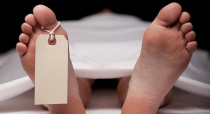 لن تصدق.. علماء أمريكيون يقتربون من اكتشاف يضع حدا للموت البشري لن تصدق.. علماء أمريكيون يقتربون من اكتشاف يضع حدا للموت البشري