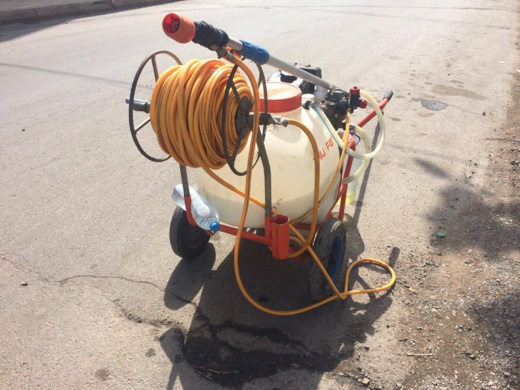 مصادر مطلعة: نخيل الناظور مصاب بسوسة النخيل الحمراء و المكتب الوطني للسلامة الصحية يتدخل مصادر مطلعة: نخيل الناظور مصاب بسوسة النخيل الحمراء و المكتب الوطني للسلامة الصحية يتدخل