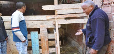 العثور على قطيع من الأغنام بعد إختفائه بحي عاريض بالناظور العثور على قطيع من الأغنام بعد إختفائه بحي عاريض بالناظور