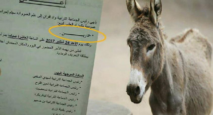 غريب و ساخر.. دعوة 7 رؤساء جماعات للمشاركة في سمسرة عمومية لبيع حمارين + وثيقة غريب و ساخر.. دعوة 7 رؤساء جماعات للمشاركة في سمسرة عمومية لبيع حمارين + وثيقة