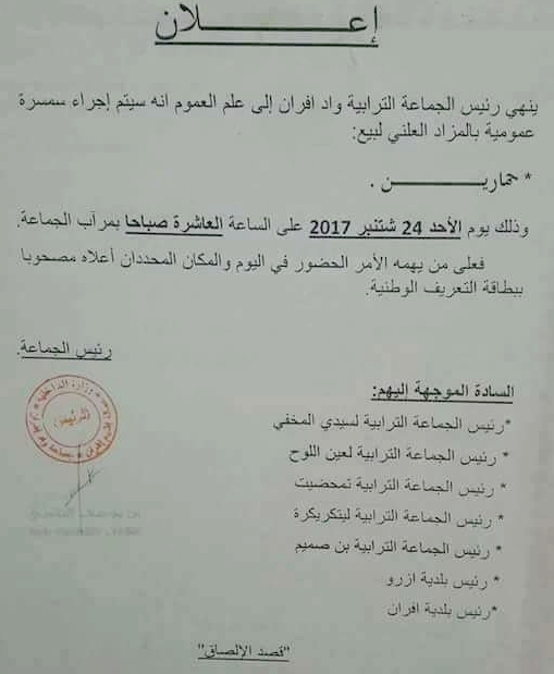 غريب و ساخر.. دعوة 7 رؤساء جماعات للمشاركة في سمسرة عمومية لبيع حمارين + وثيقة غريب و ساخر.. دعوة 7 رؤساء جماعات للمشاركة في سمسرة عمومية لبيع حمارين + وثيقة