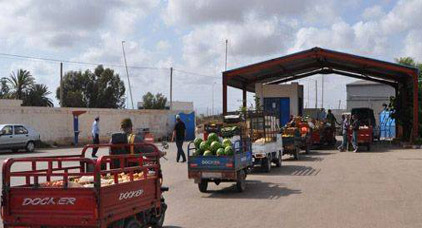 خطير.. تجار الخضر والفواكه بالناظور يتعرضون للنهب والسرقة من طرف مدمني المخدرات والخمور خطير.. تجار الخضر والفواكه بالناظور يتعرضون للنهب والسرقة من طرف مدمني المخدرات والخمور