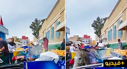 مواطن غاضب يحتج بمفرده استنكاراً لإغلاق شارع عمومي وسط مدينة الناظور باستعمال عربات الدواب مواطن غاضب يحتج بمفرده استنكاراً لإغلاق شارع عمومي وسط مدينة الناظور باستعمال عربات الدواب