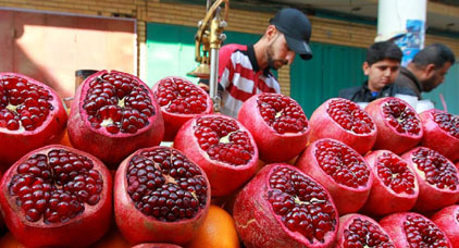 فلاحو جهة الشرق يصدرون حوالي 362 طنا من الرمان إلى الخارج فلاحو جهة الشرق يصدرون حوالي 362 طنا من الرمان إلى الخارج