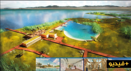 هذه هي أنواع الطيور المتواجدة بمنتزه الطيور بمارتشيكا الناظور هذه هي أنواع الطيور المتواجدة بمنتزه الطيور بمارتشيكا الناظور