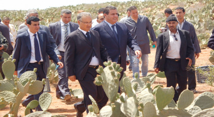 وزارة اخنوش تشيد وحدات لتثمين الصبار بالحسيمة وزارة اخنوش تشيد وحدات لتثمين الصبار بالحسيمة